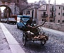 corni-corni freschi